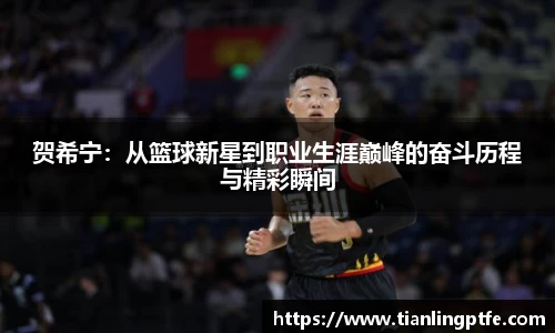 贺希宁：从篮球新星到职业生涯巅峰的奋斗历程与精彩瞬间